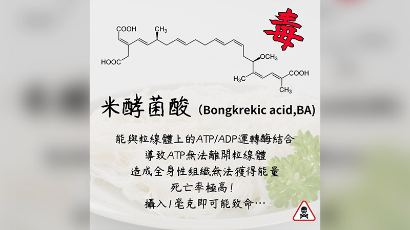 米酵菌酸是什麼？化學老師帶你了解時事毒物