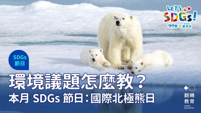 2/27國際北極熊日跟著 SDGs 重視環境議題！圖片來源：Shutterstock