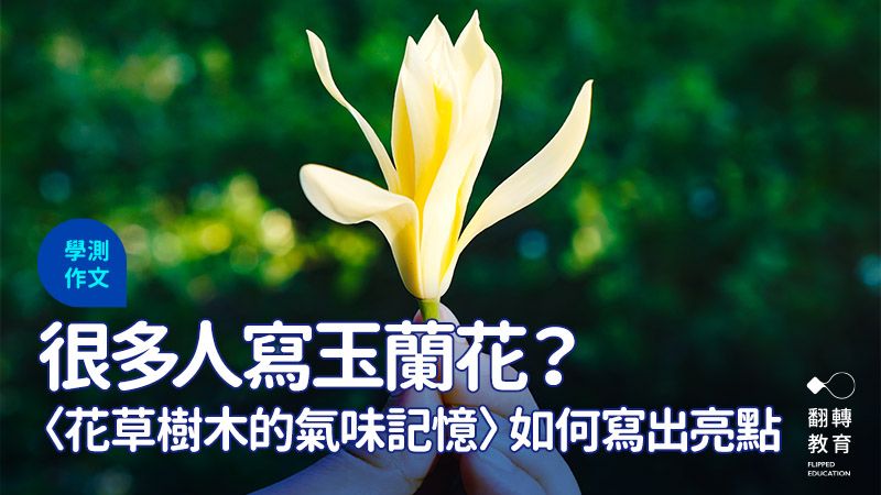 學測作文〈花草樹木的氣味記憶〉很多人寫玉蘭花和桂花，要如何切出不一樣的觀察視角？圖片來源：Shutterstock