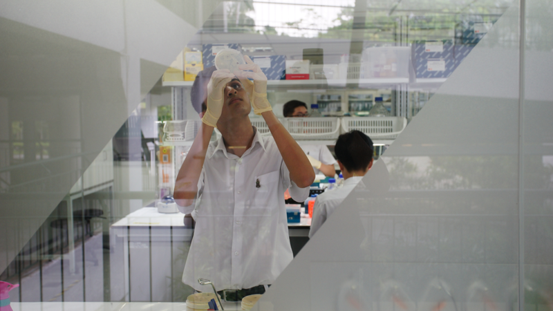 ▲ 《親子天下》曾於2017年至新加坡越洋採訪，了解新加坡教育的精華所在。圖為培養全國前5%菁英的萊佛士書院 OpenLab，僅供示意。楊煥世攝