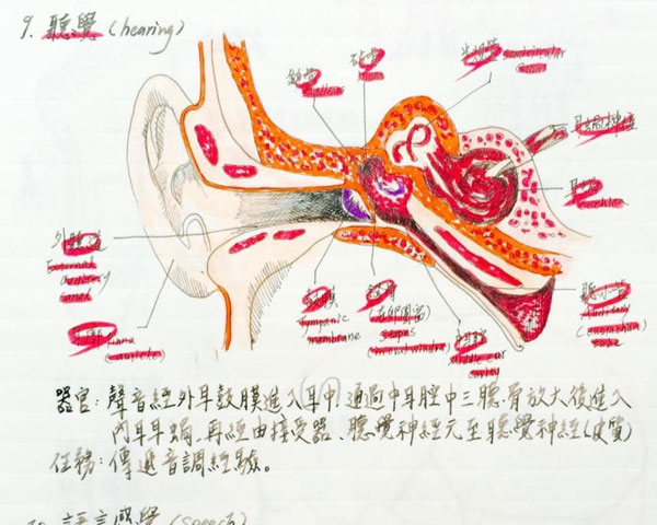 華德福教育的筆記術