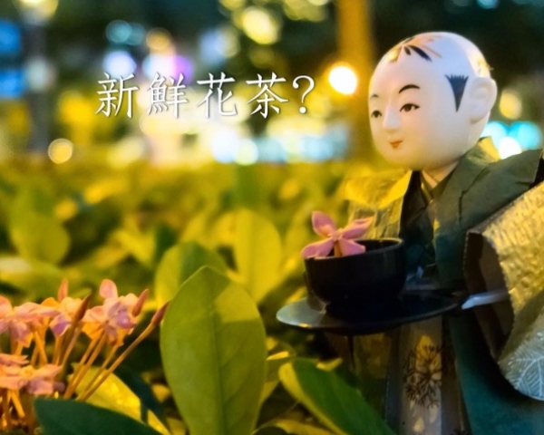 《大人的科學：奉茶童子》重現日本最古老機器人│親子天下影音