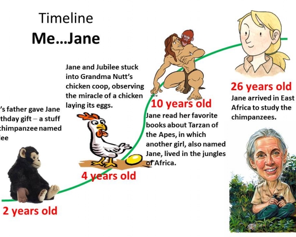 自珍古德博士 1934 年 4 月 3 日出生起發生過哪些影響她生涯的事件？用時間線圖像組織讀珍古德的傳記繪本。圖片提供：戴逸群