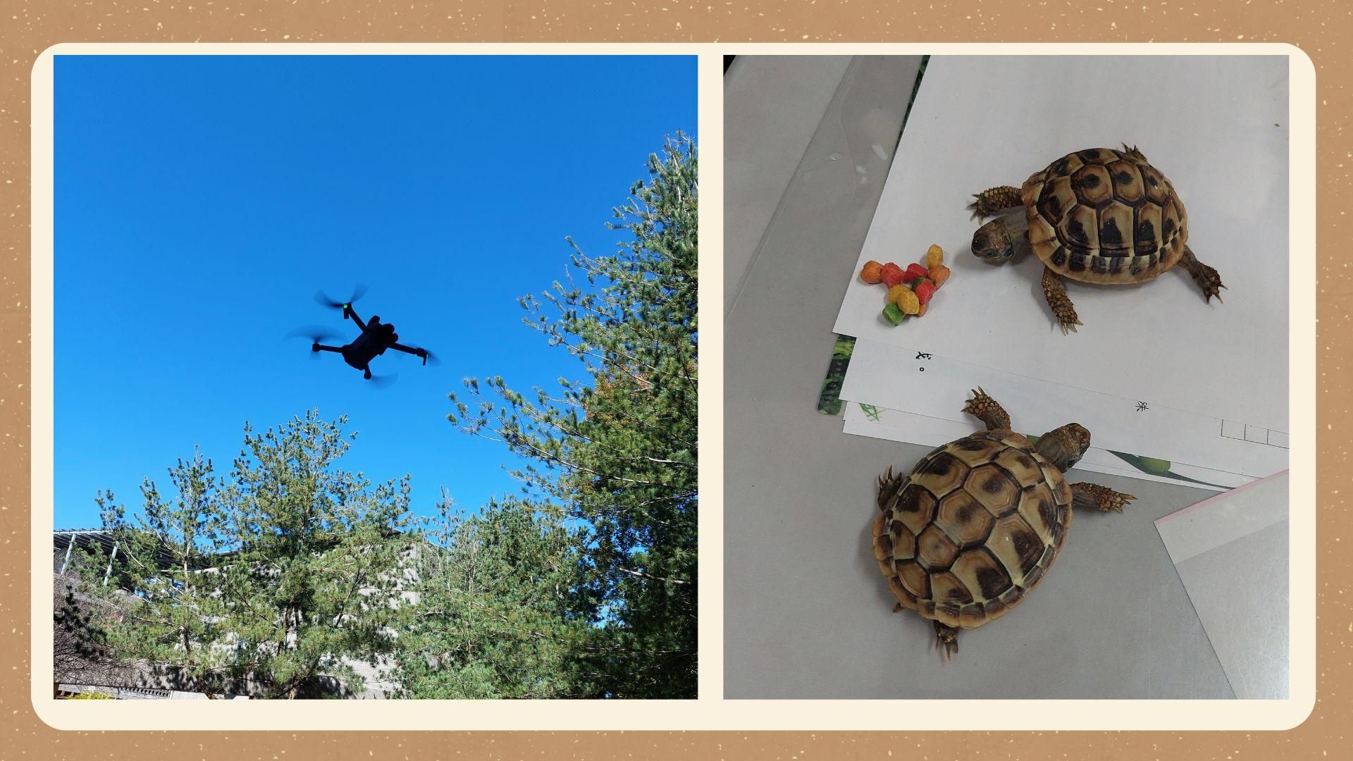 學生的紓壓小市集（圖1）