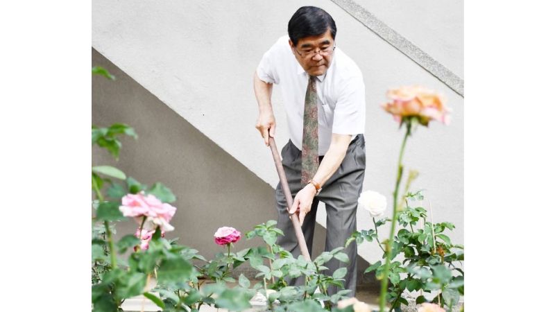 楊俊毓教授是高醫大創校71年來第一位非穿白袍的校長,親植百株玫瑰傳達愛校情感。