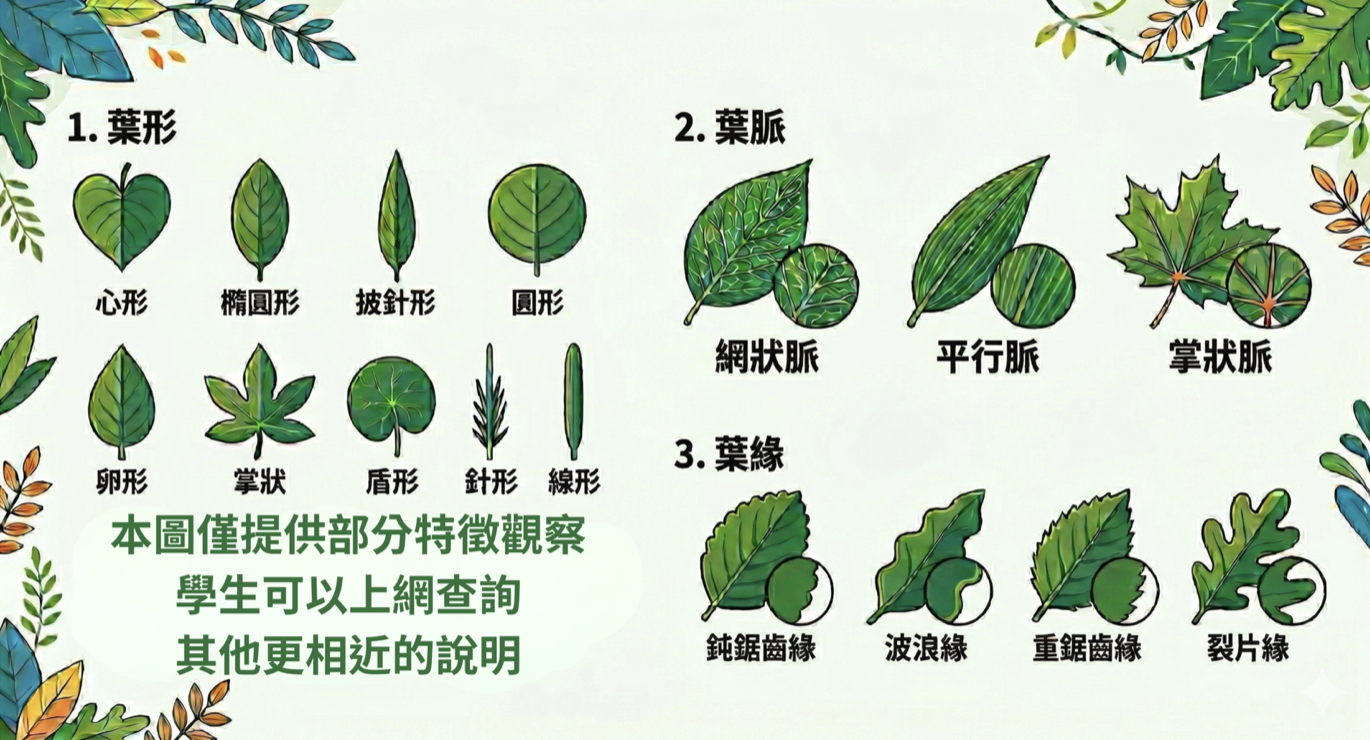 結構化觀察資料