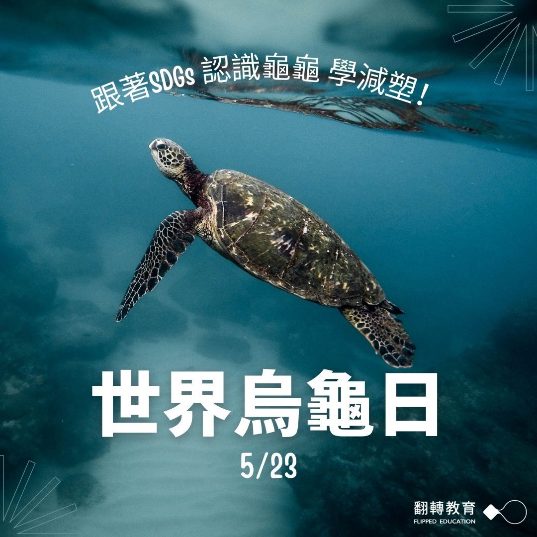 世界烏龜日（圖1）減塑 海龜 塑膠袋